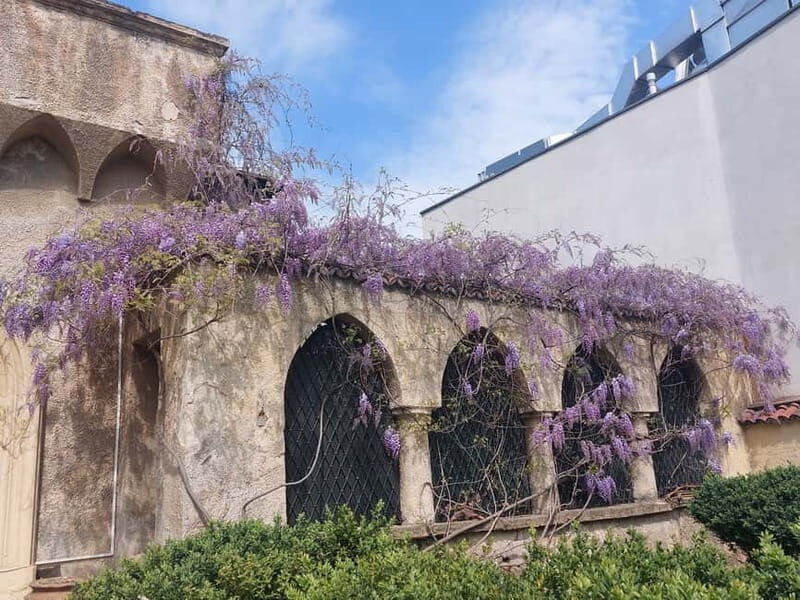 Bucharest: Hidden Gems 2.5-Hour Walking Tour - Mantuleasa Street: a prettiest-street kind of history stop