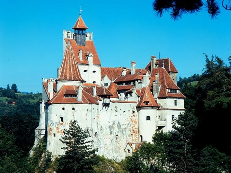 Bucharest: Peles Castle, Dracula's Castle and Brasov Tour - Key highlights to look forward to