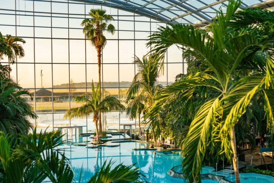 Bucharest: Therme Bucharest Entry Ticket and Transfer - Galaxy and The Palm: two zones, two different moods
