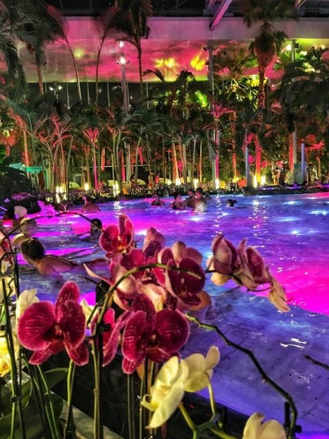 Bucharest: Therme Spa Night Experience with Transfer - Therme Bucharest After Dark: what you’re really paying for