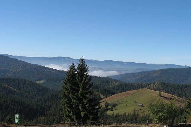 Bucovina Painted Monasteries Day Tour - Marginea black pottery: the short stop that adds real craft