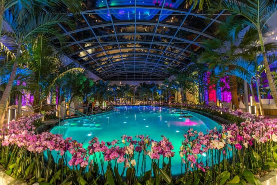 Bucuresti: Therme Bucharest Evening Entry Ticket & Transfer - The money side: what’s included, what costs extra, and where people get surprised