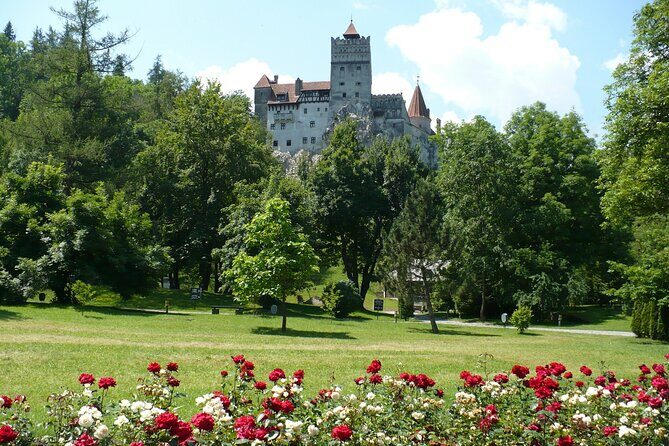 Castles Private Tour Peles - Bran - Rasnov from Brasov - Who this tour suits best