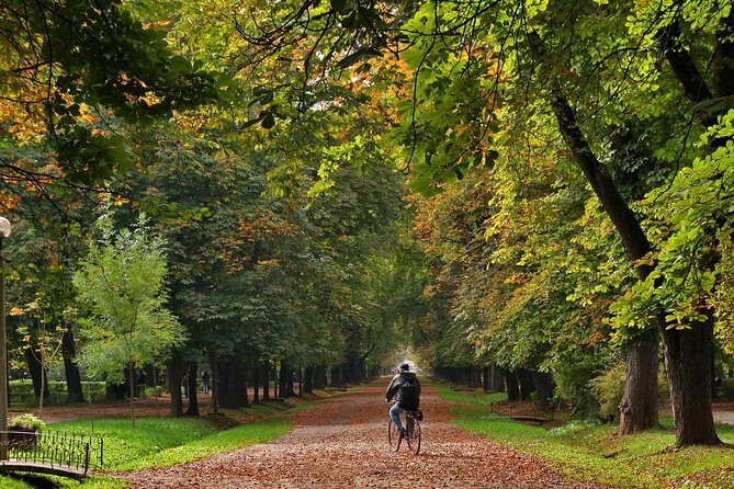 Cluj-Napoca Walking City Tour - Cluj-Napoca in 2 to 3 hours: what you really get