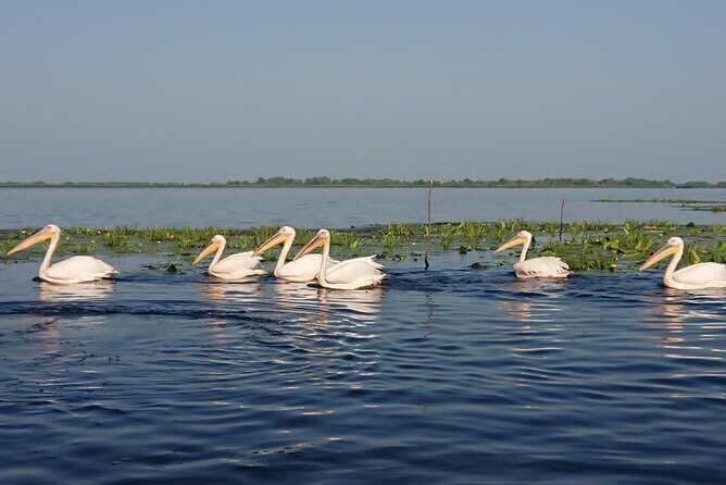 Daily Tours in the Danube Delta - Camely Cruise - The Boat Experience on Camely: Small Comforts That Matter