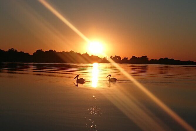 Daily Tours in the Danube Delta - Camely Cruise - Timing, Crowds, and How to Avoid a Scrappy Day