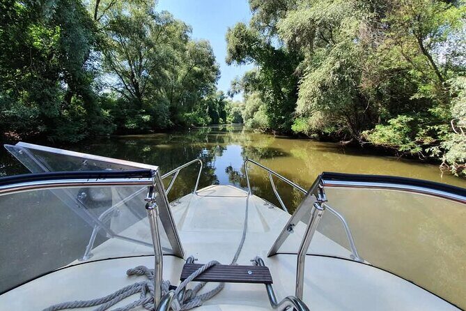 Danube Delta guided boat trip Tulcea - Mila 23 - Lake Fortuna pelican colonies: what 15 minutes really means
