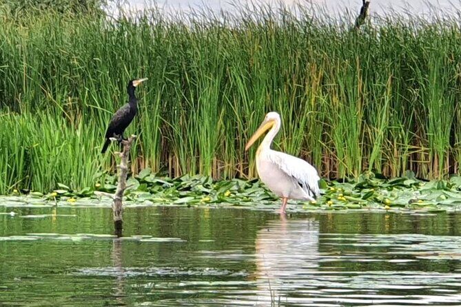 Danube Delta - Private Tour with Boat Trip & Traditional Lunch - Guides on this private tour: what you gain with a human plan