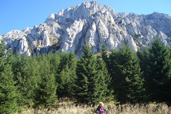 Day Hike in Carpathian Mountains for all levels in five areas - The 5–6 Hour Trail: From Pine Roots to Meadow Views