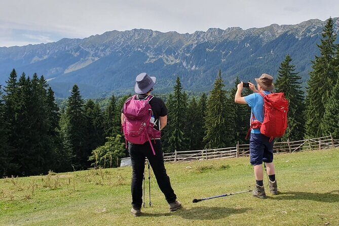 Day Hike in Carpathian Mountains for all levels in five areas - Choosing Your Difficulty: All Levels, But Pick the Right Version
