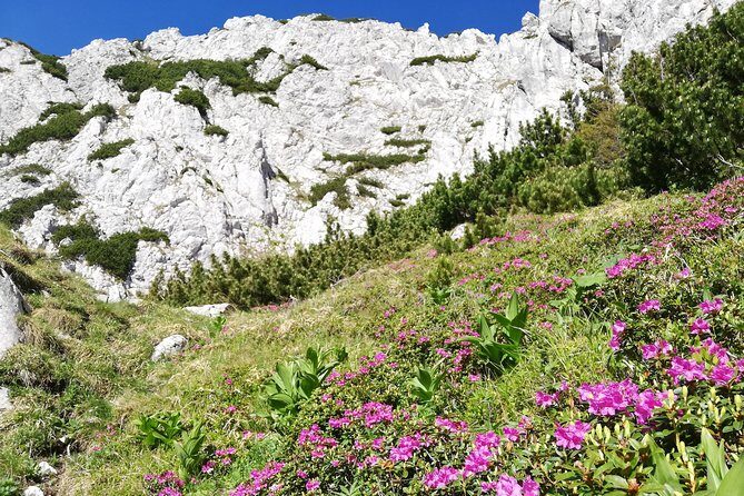 Day Hike PRIVATE - Piatra Craiului National Park - Getting to the start: Piața Sfatului pickup that saves decision fatigue