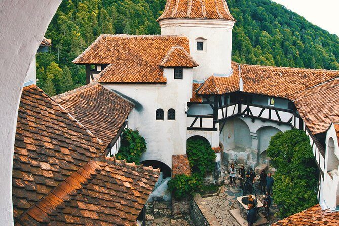 Day Tour to Brasov and Bran - Should You Book This Brasov and Bran Day Trip?