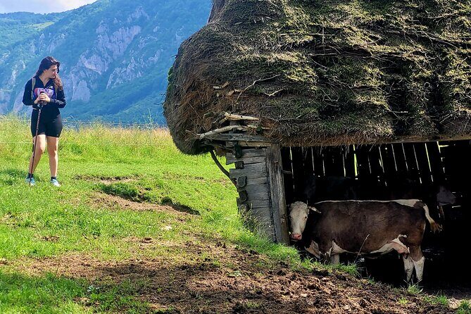 Discover Apuseni Mountains - Scarita Summit,Sipote Waterfall and Dumesti Village - Waterfall and Dumesti village: the bonus return route