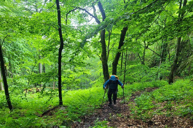 Discover Apuseni Mountains - Scarita Summit,Sipote Waterfall and Dumesti Village - Price and value: what $120.15 buys you in the Apuseni Mountains