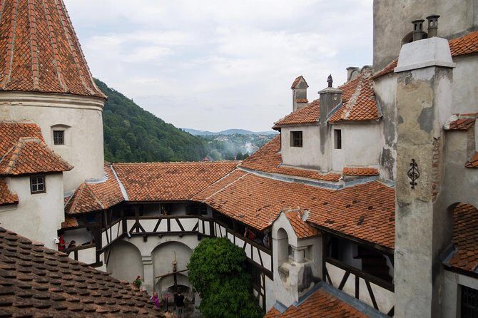 Dracula and Peles Castles Premium Tour with Hotel pick-up - Your guide and the small-group advantage (Horia, Alex, Eric)