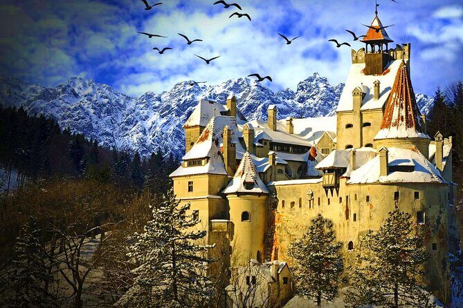 Explore Transylvania: Dracula, Peles Castle & Brasov Private Tour - A Private Transylvania Day from Bucharest (10–12 Hours)