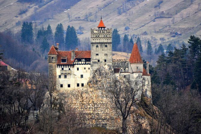 Explore Transylvania: Dracula, Peles Castle & Brasov Private Tour - Peles Castle: The Summer Royal Residence in the Carpathians
