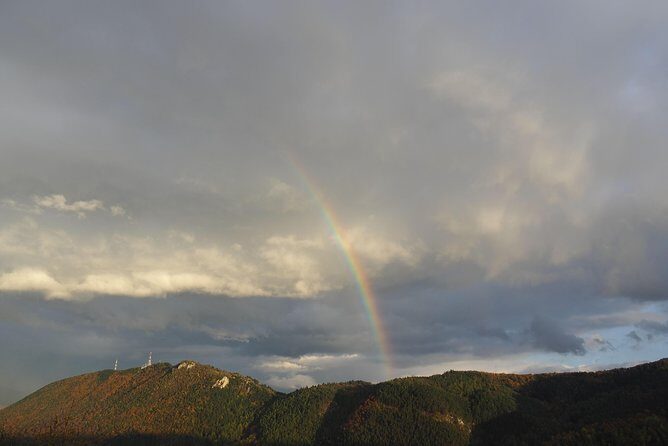 From Brasov: Discover Bran Castle and Rasnov Fortress - Mountain views and story timing with a licensed English guide