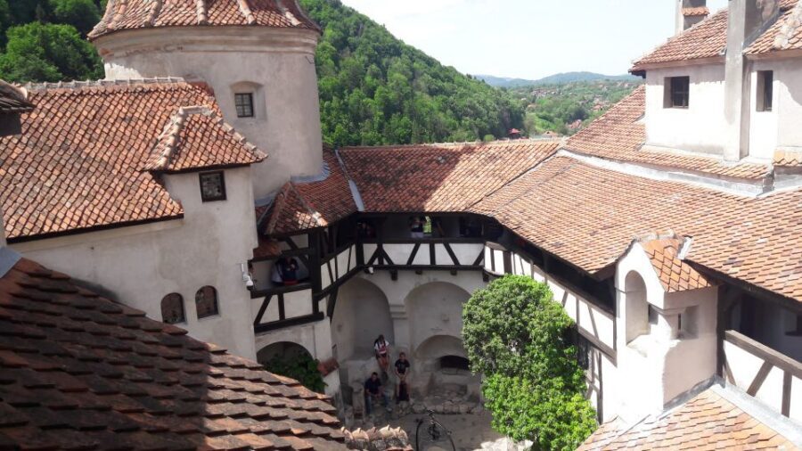From Brasov: Peles Castle, Bran Castle & Cantacuzino Castle - Key highlights that make this day trip work