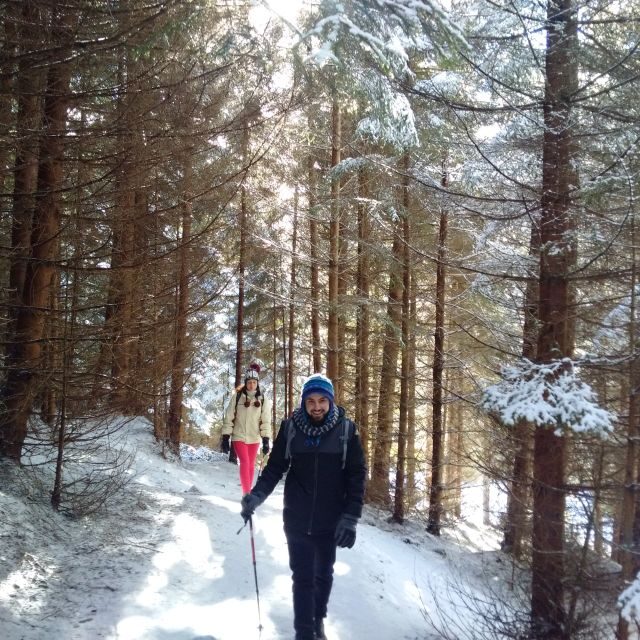 From Brasov: Piatra Craiului National Park Private Day Tour - Key things worth knowing before you go