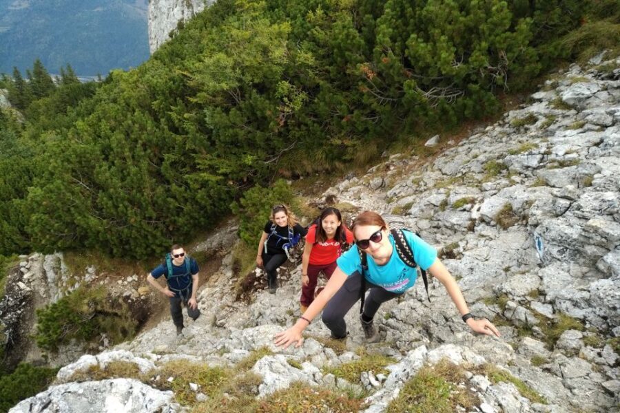 From Brasov: Piatra Craiului National Park Private Day Tour - Learning Romanian rural life: shepherding and cheese-making on the trail