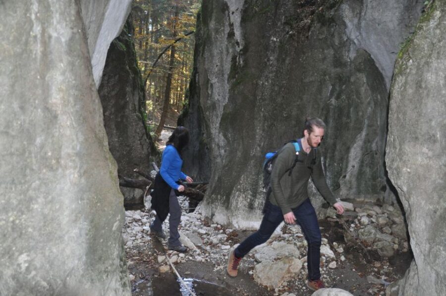 From Brasov: Piatra Craiului National Park Private Day Tour - The pace and difficulty: what the hike feels like in real life