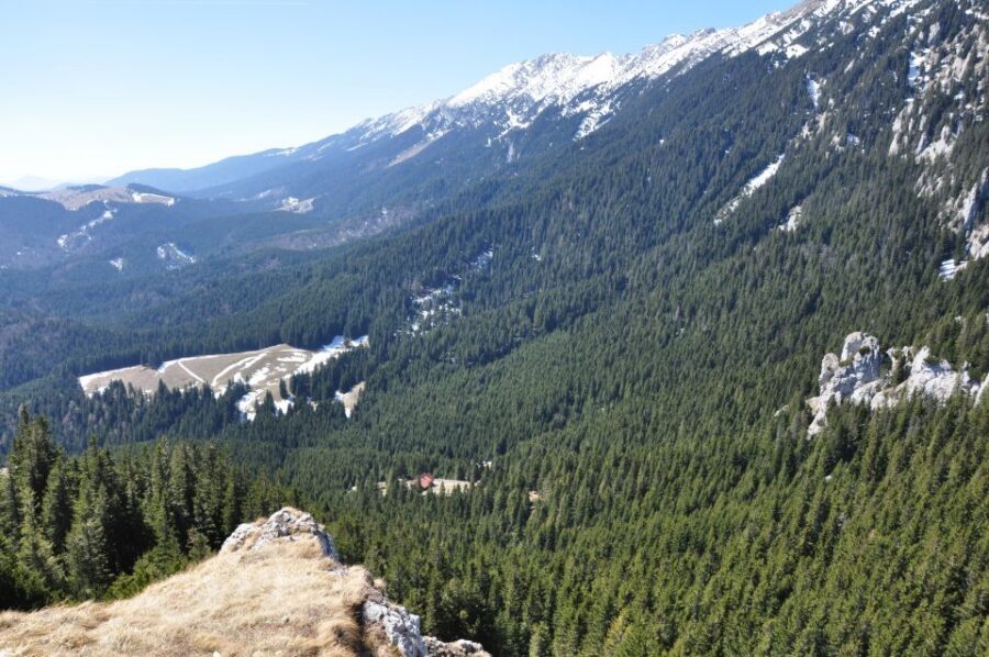 From Brasov: Piatra Craiului National Park Private Day Tour - Lunch at a mountain hut or village stop: where value shows up