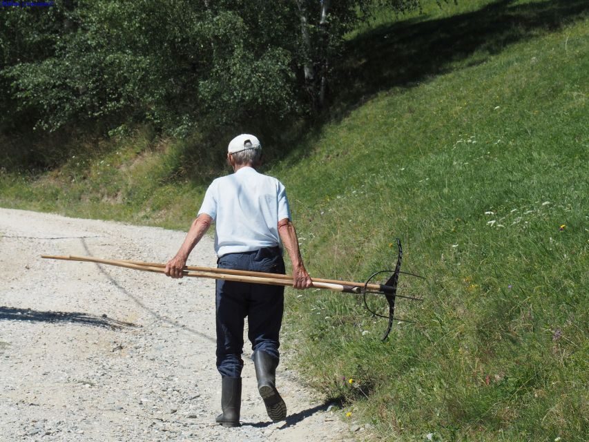 From Brasov: Romanian Mountain Villages Day Tour - Key things that make this tour special
