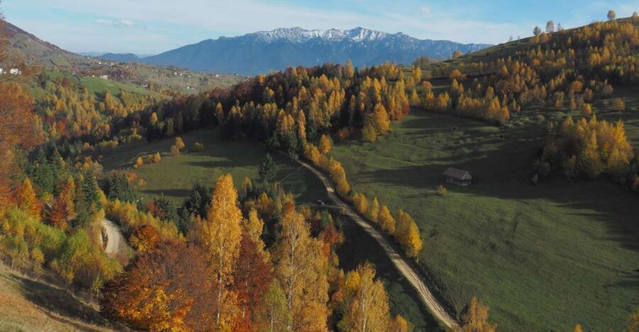 From Brasov: Romanian Mountain Villages Day Tour - Brașov to Piatra Craiului: why this day trip works