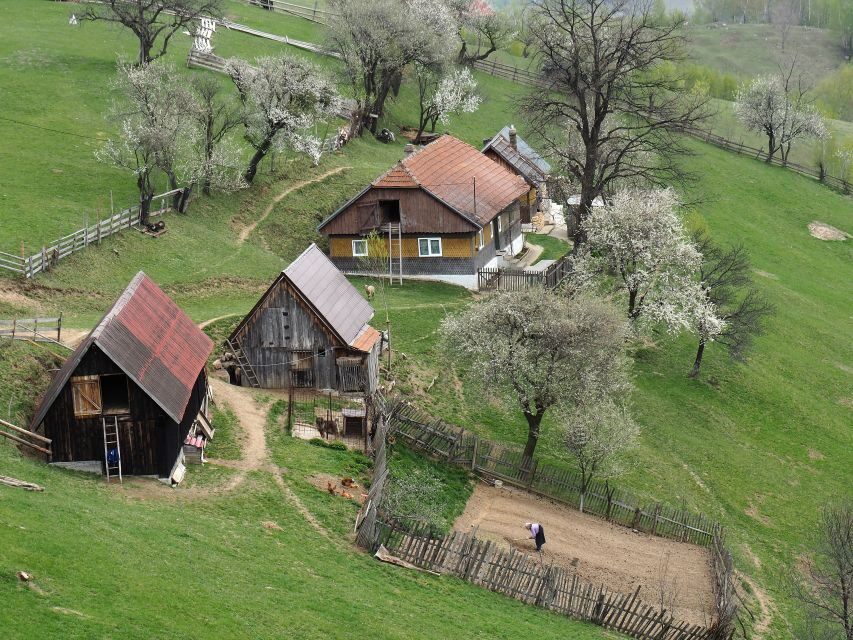 From Brasov: Romanian Mountain Villages Day Tour - Bat Cave: limestone formations and the big cave moment