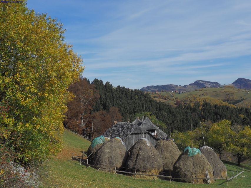 From Brasov: Romanian Mountain Villages Day Tour - The Magura trek: 3 to 4 hours that can surprise you