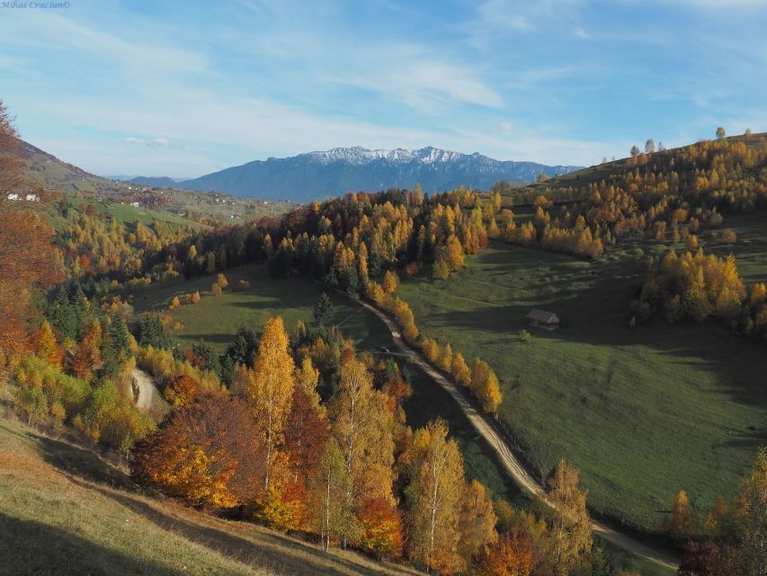 From Brasov: Romanian Mountain Villages Day Tour - Price and value: what the $116 buys you (and what it doesn’t)