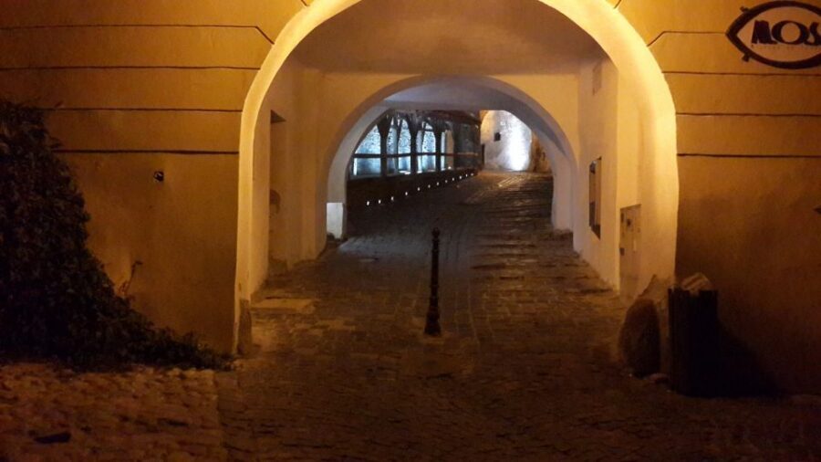 From Brasov: Sighisoara and Viscri UNESCO Day Tour - Stop 2: Sighişoara fortress/citadel (2.5 hours) and the Vlad trail