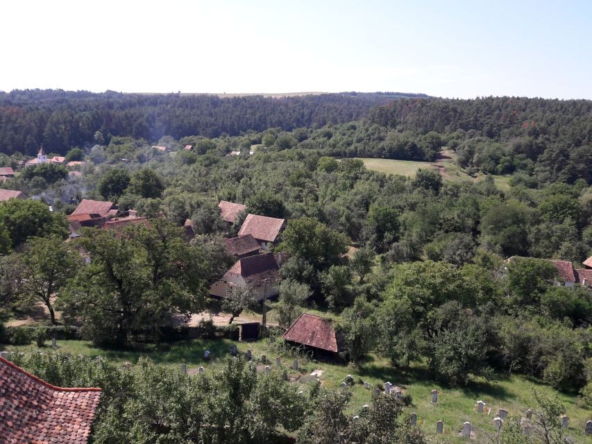 From Brasov: Sighisoara, Viscri, and Rupea Unesco Day Trip - Luxury van pickup from Brașov: the day stays low-stress