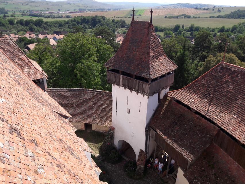 From Brasov: Sighisoara, Viscri, and Rupea Unesco Day Trip - Sighișoara medieval fortress: clock tower colors and Vlad Țepeș links