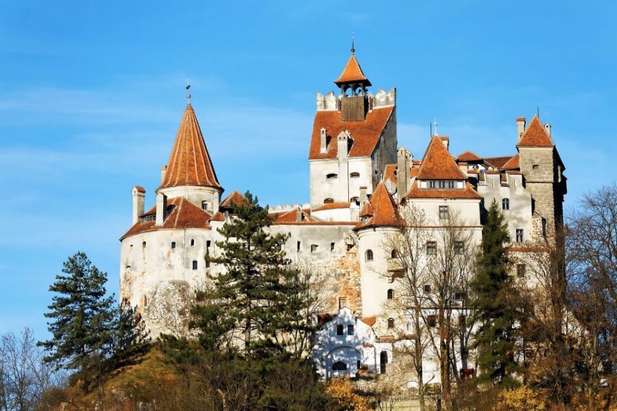 From Bucharest: Libearty Bear Sanctuary and Dracula's Castle - The view-drive in the Carpathians: why the transfer isn’t wasted time