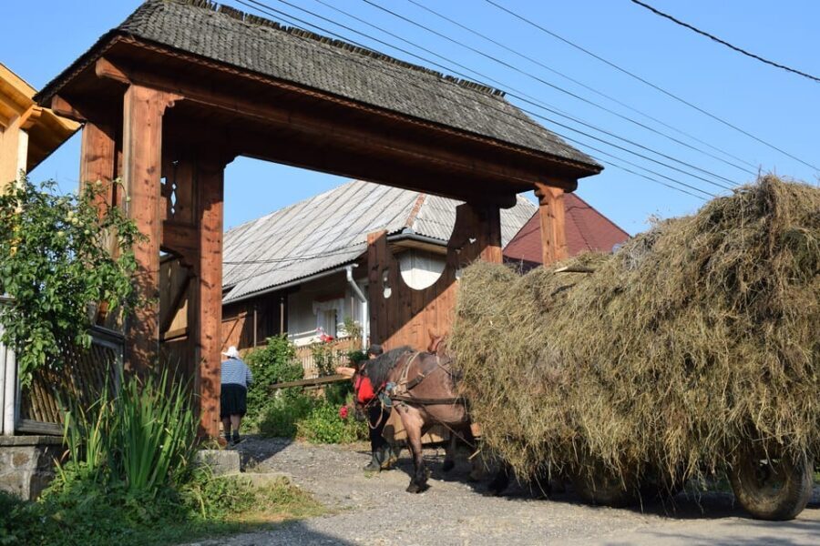 From Cluj-Napoca: Maramures Day Tour - Traditional lunch with locals: where the day turns personal