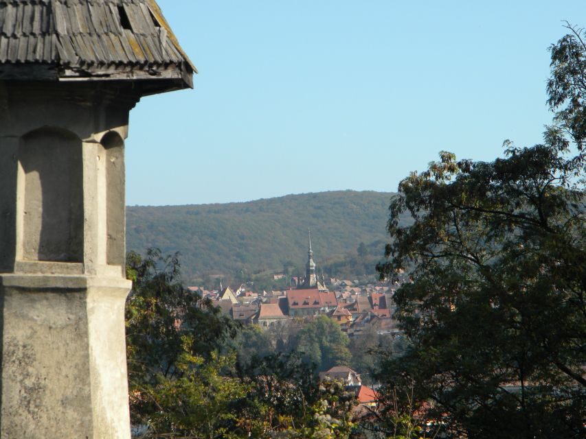 From Cluj: Sighișoara and Church of Biertan Guided Tour - Who should book this tour, and who might want something else