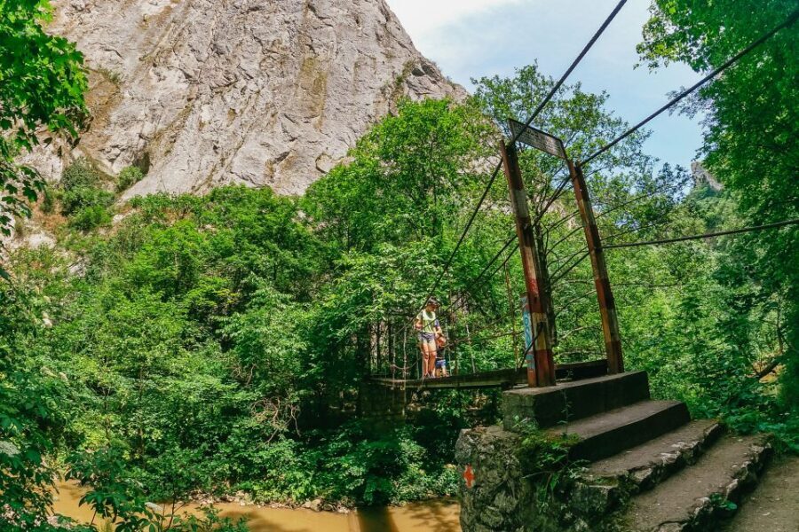 From Cluj: Turda Salt Mine, Gorge, and Remetea Full-Day Trip - Quick Key Points (Worth Knowing Before You Go)
