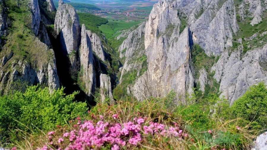 From Cluj: Turda Salt Mine, Gorge, and Remetea Full-Day Trip - Monastery of Holy Archangels Michael, Gabriel and Raphael: a calm finish
