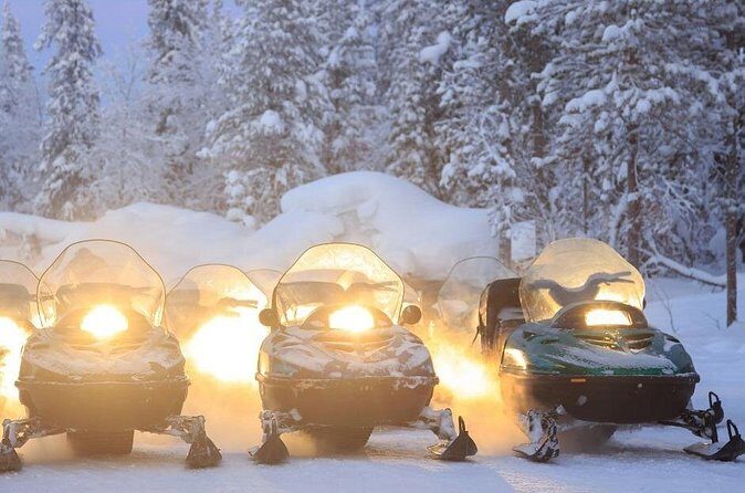 Full Day Private Snow Mobile in Carpathain Mountains - Price and Value: Is $208.78 a Good Deal?