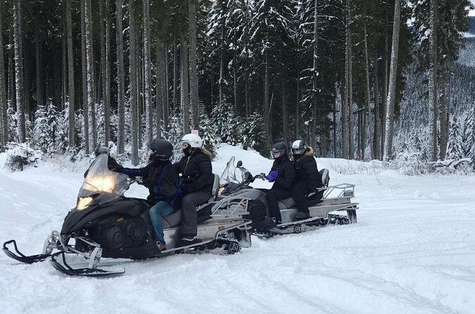 Full Day Private Snow Mobile in Carpathain Mountains - Should You Book This Private Snowmobile + Sinaia Day?