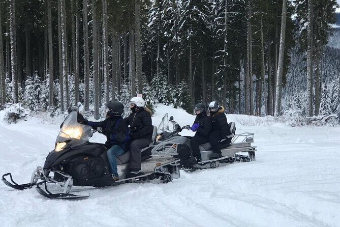 Full Day Private Snow Mobile in Carpathain Mountains - Azuga Snowmobile: Gear Up, Follow the Guide, Enjoy the Trails