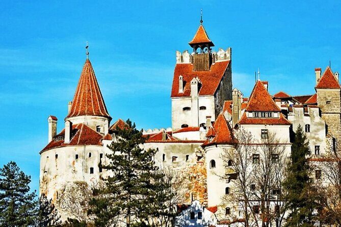 Full-Day Private Tour to Sinaia, Bran and Brasov from Bucharest - Getting picked up and moving efficiently in a private van