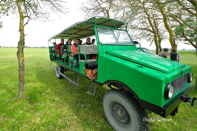 GROUP Guided Day Trip to the Danube Delta, Tulcea - Letea - Tulcea departures: why 07:50 matters