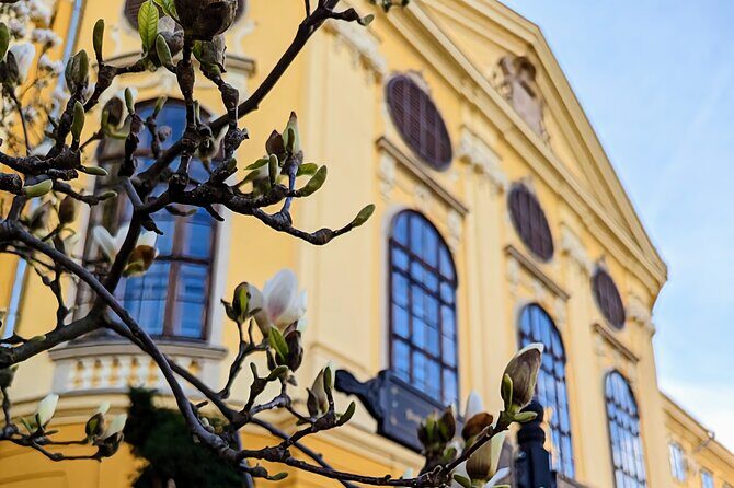 Half-Day Private Food and Wine Walking Tour Oradea Romania - A private Oradea food-and-wine walk that actually feeds you