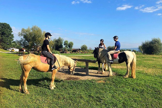 Horseback Riding Tour In Brasov - Ride Through Fields, Forests & Hills - Key points to know before you go