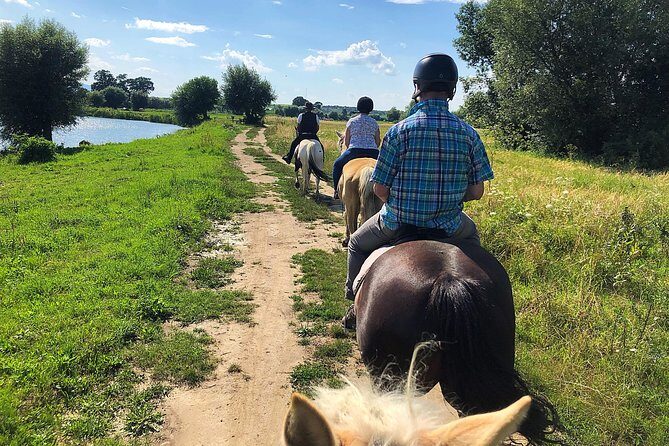 Horseback Riding Tour In Brasov - Ride Through Fields, Forests & Hills - The 5-hour experience: where your time actually goes