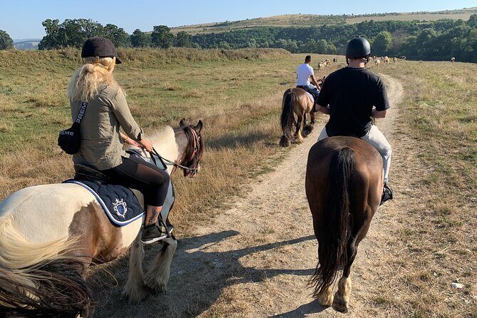 Horseback Riding Tour In Brasov - Ride Through Fields, Forests & Hills - Riding through fields, hills, and forest paths