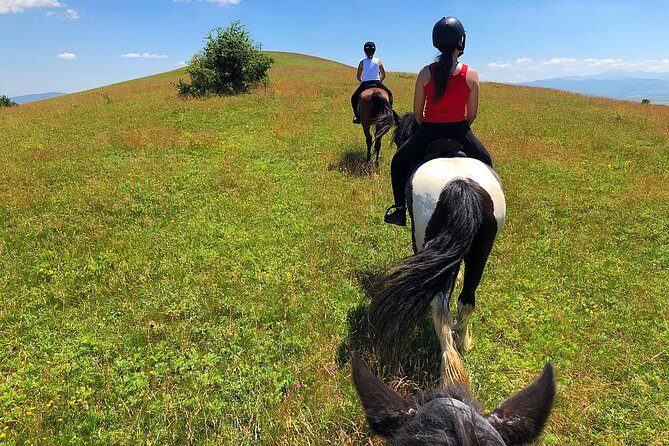 Horseback Riding Tour In Brasov - Ride Through Fields, Forests & Hills - What the guide adds: tips that keep things smooth